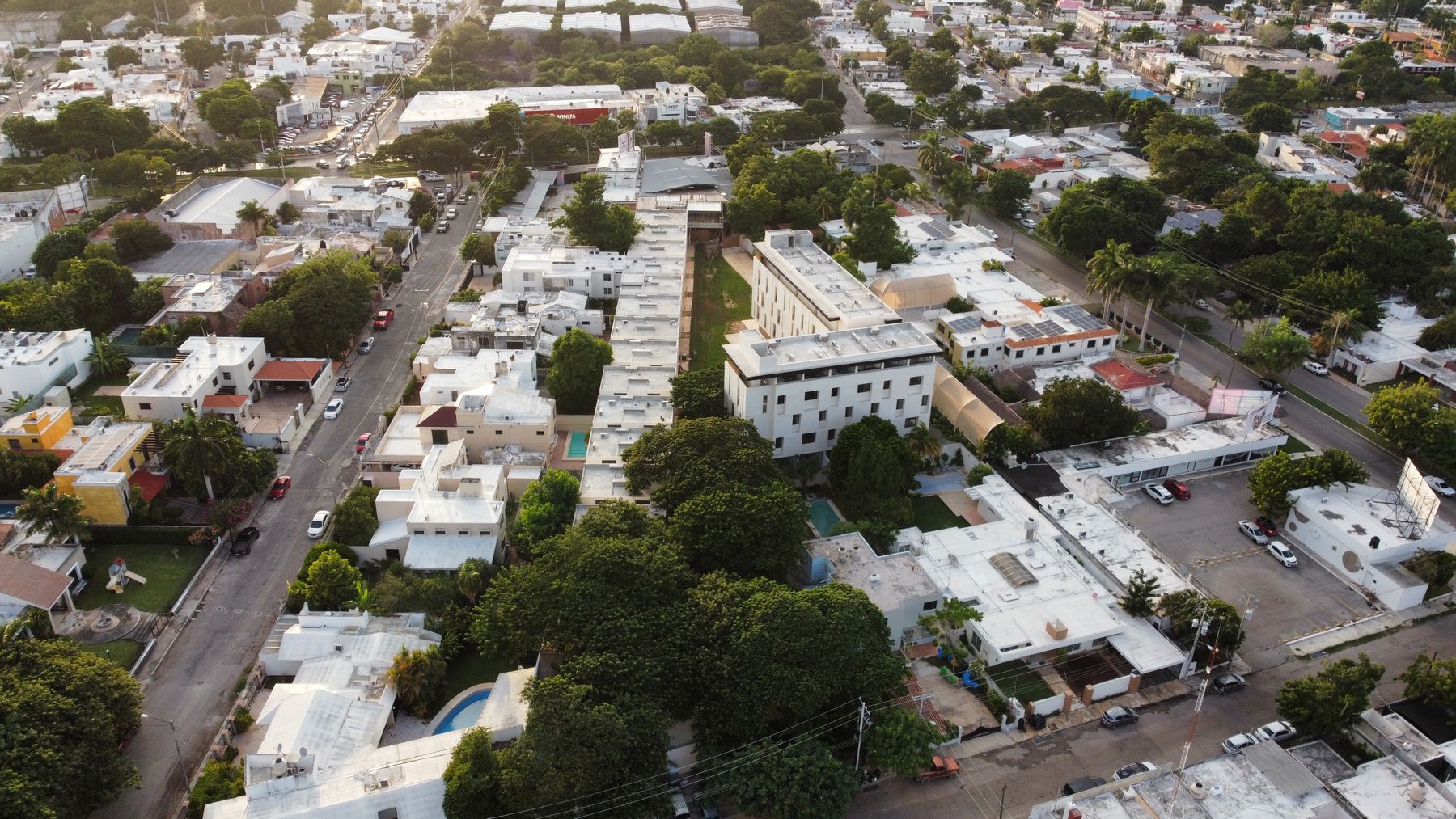 Bosqua desde el dron, octubre de 2023.